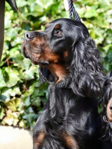 Josie Crufts 2016